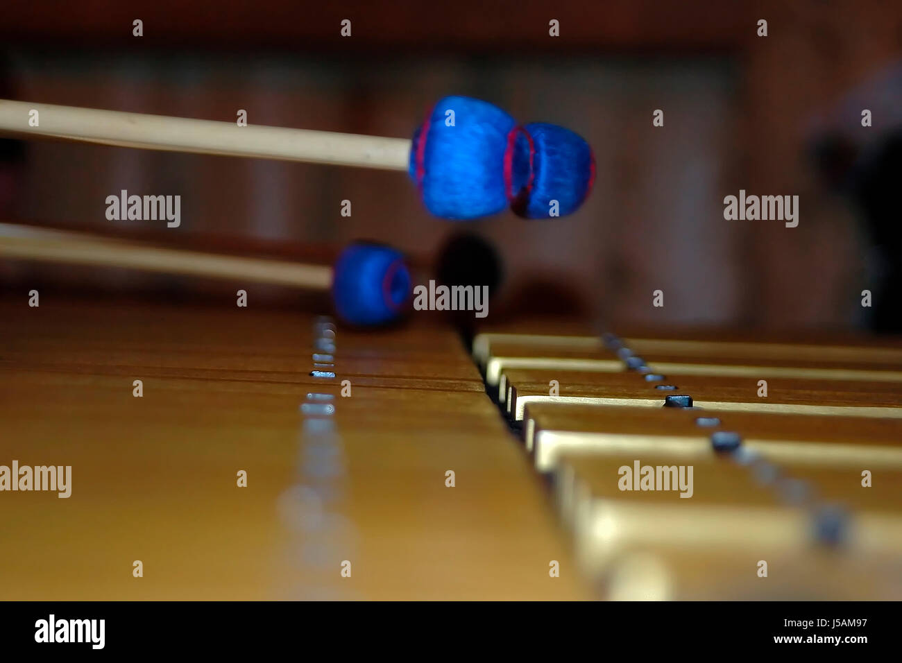 blue detail music sound make music musical musical instrument wood ...