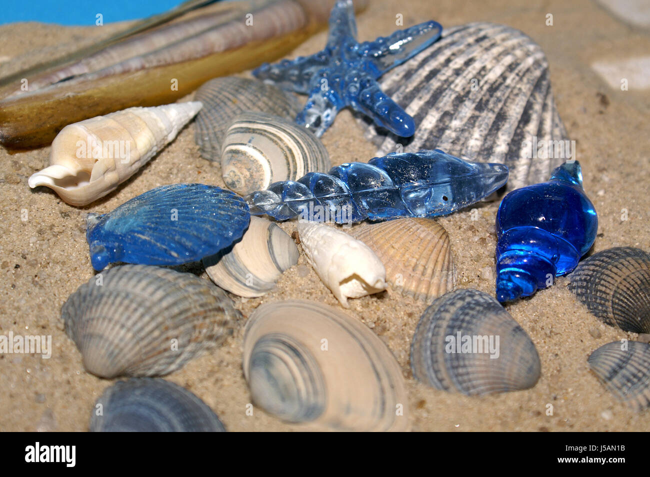Play with shells hi-res stock photography and images - Alamy
