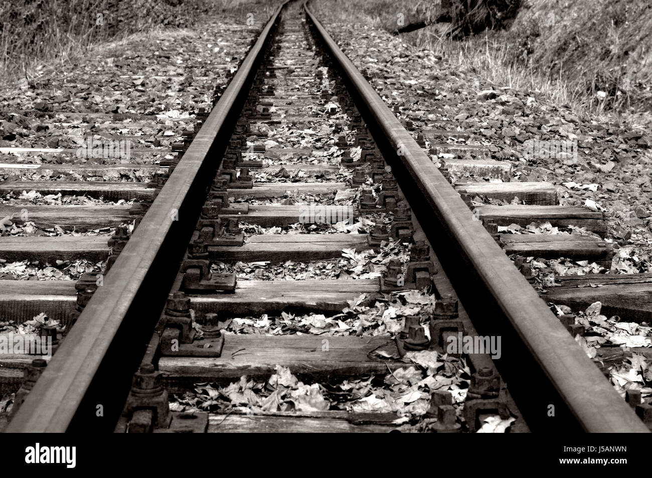 rail screws inoperative rusted narrow gauge screwed on rebuilt track ...