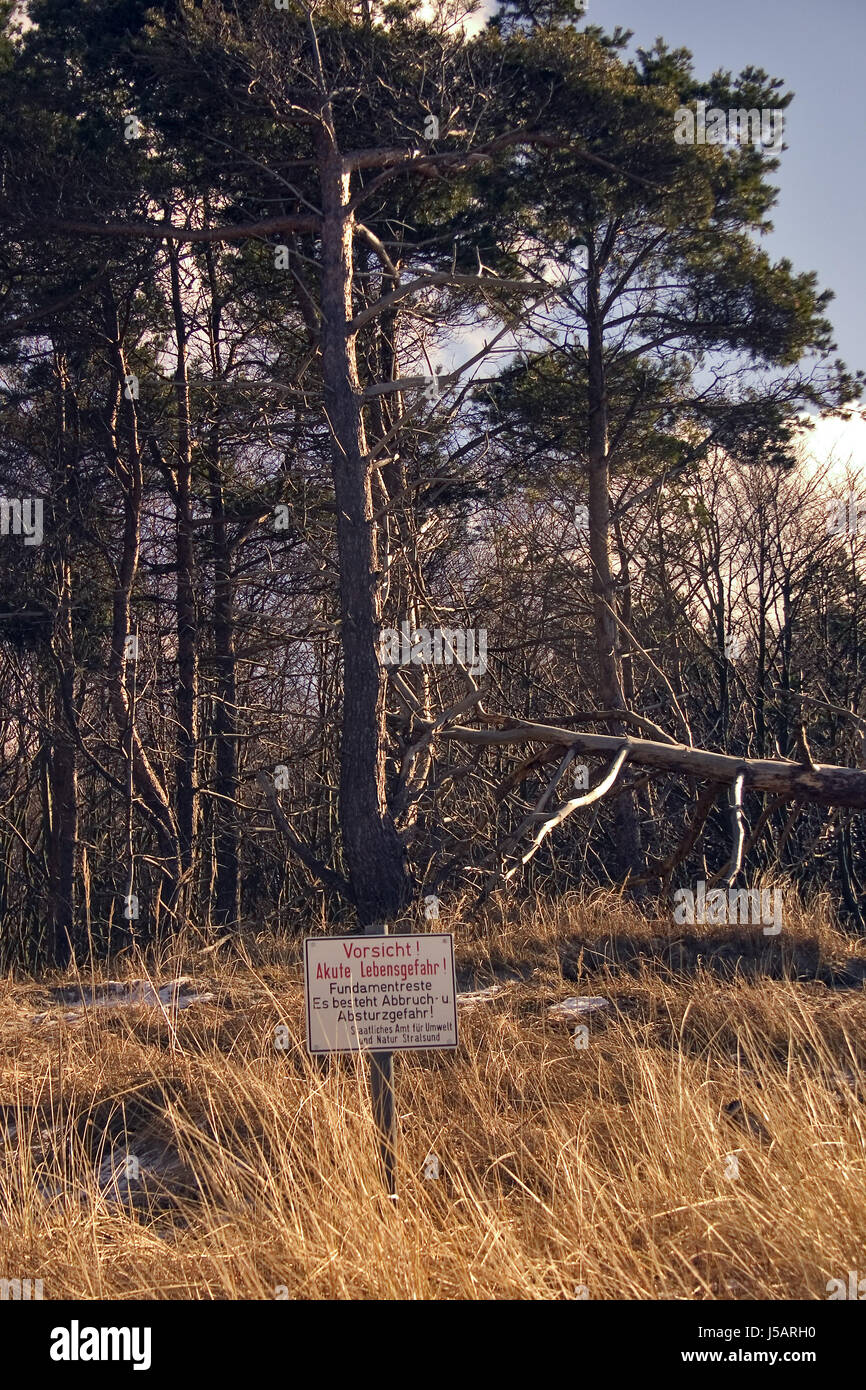 Baltic Sign Tree sign signal tree trees winter beach seaside the beach seashore water ...