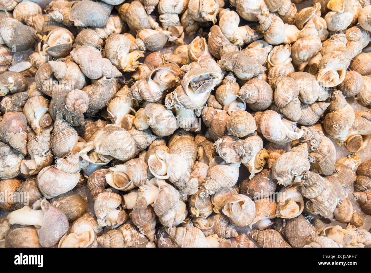 Shellfish seafood wales welsh uk hi-res stock photography and images ...