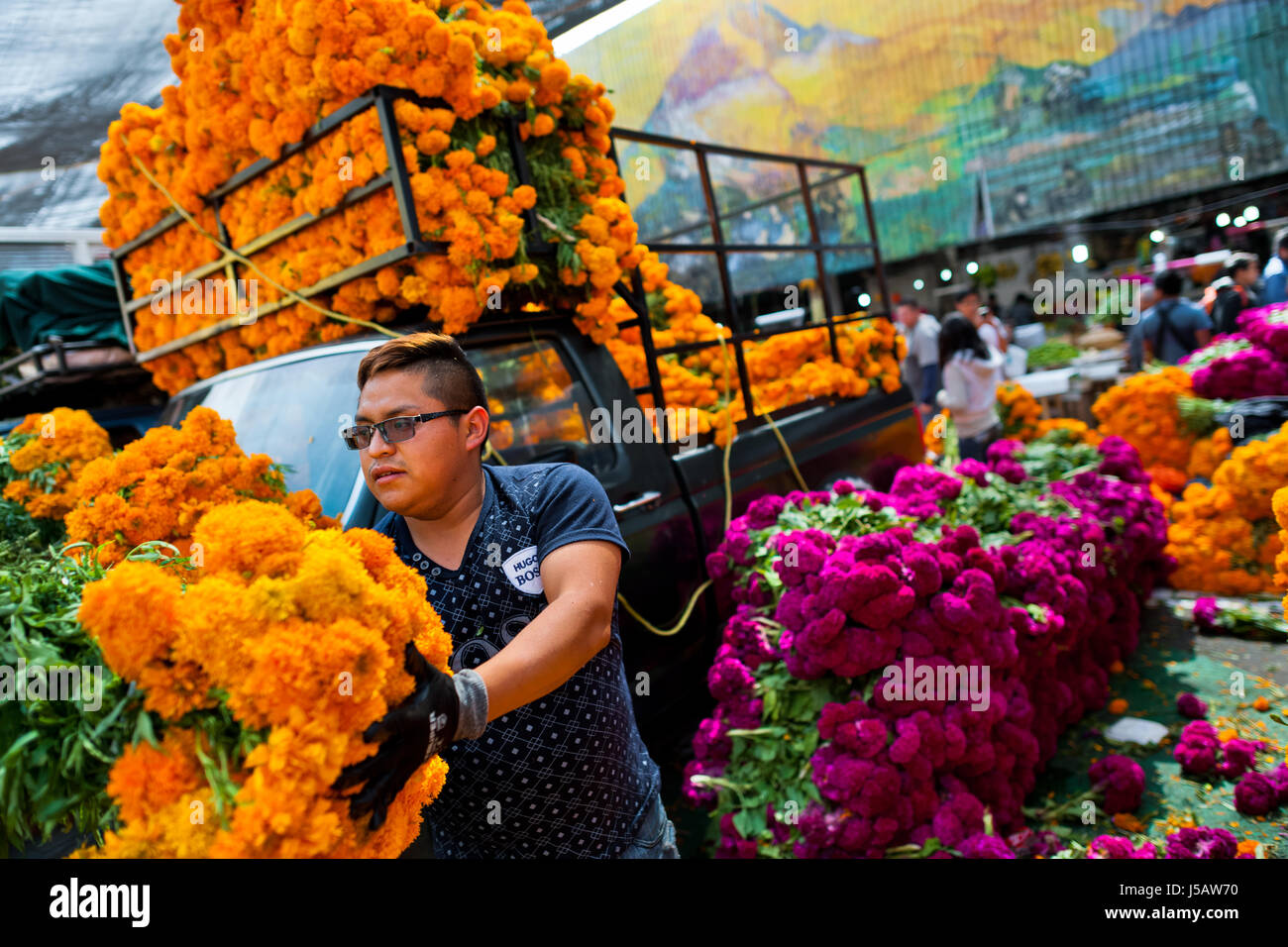 A Mexican flower market vendor unloads bunches of marigold flowers