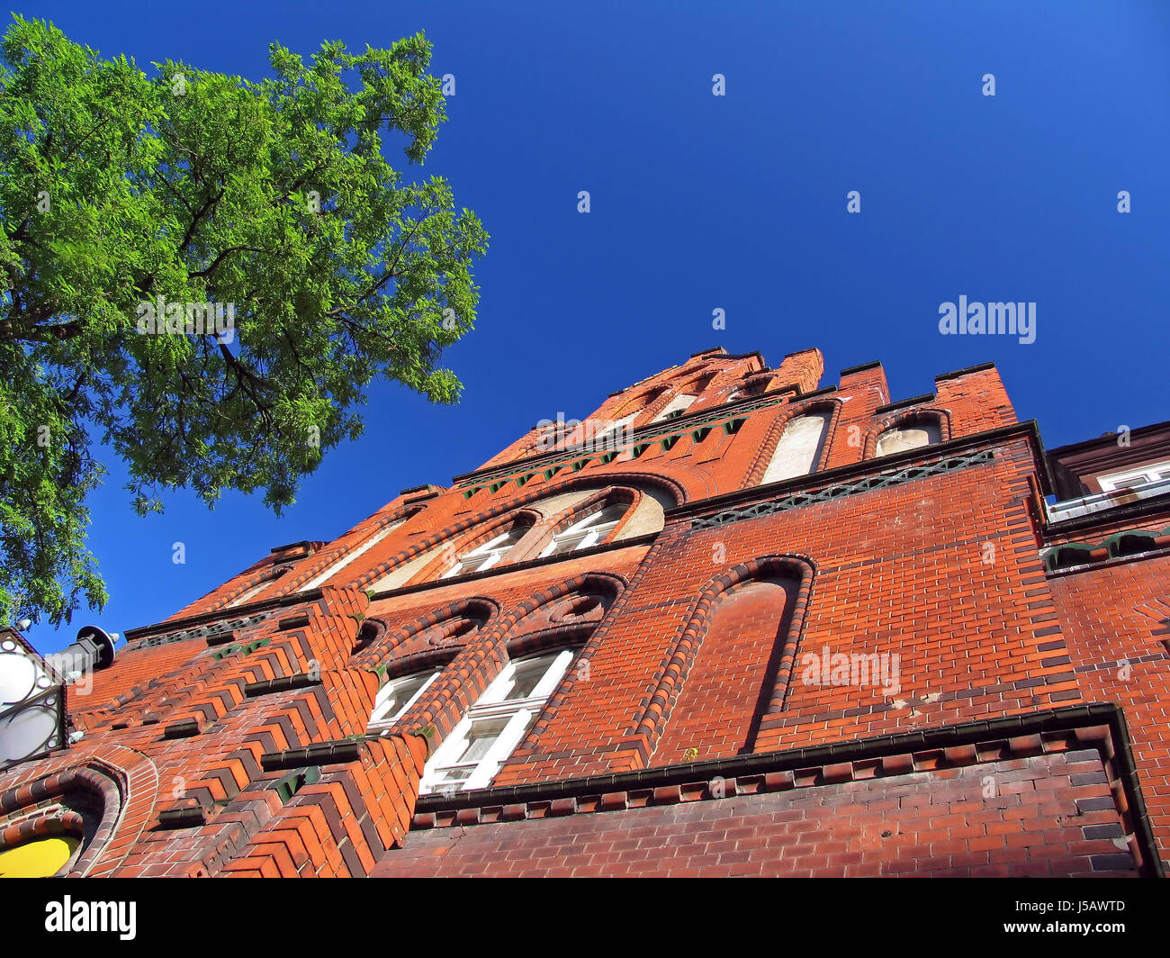 blue house building historical tree green europe Hanseatic city eastern europe Stock Photo