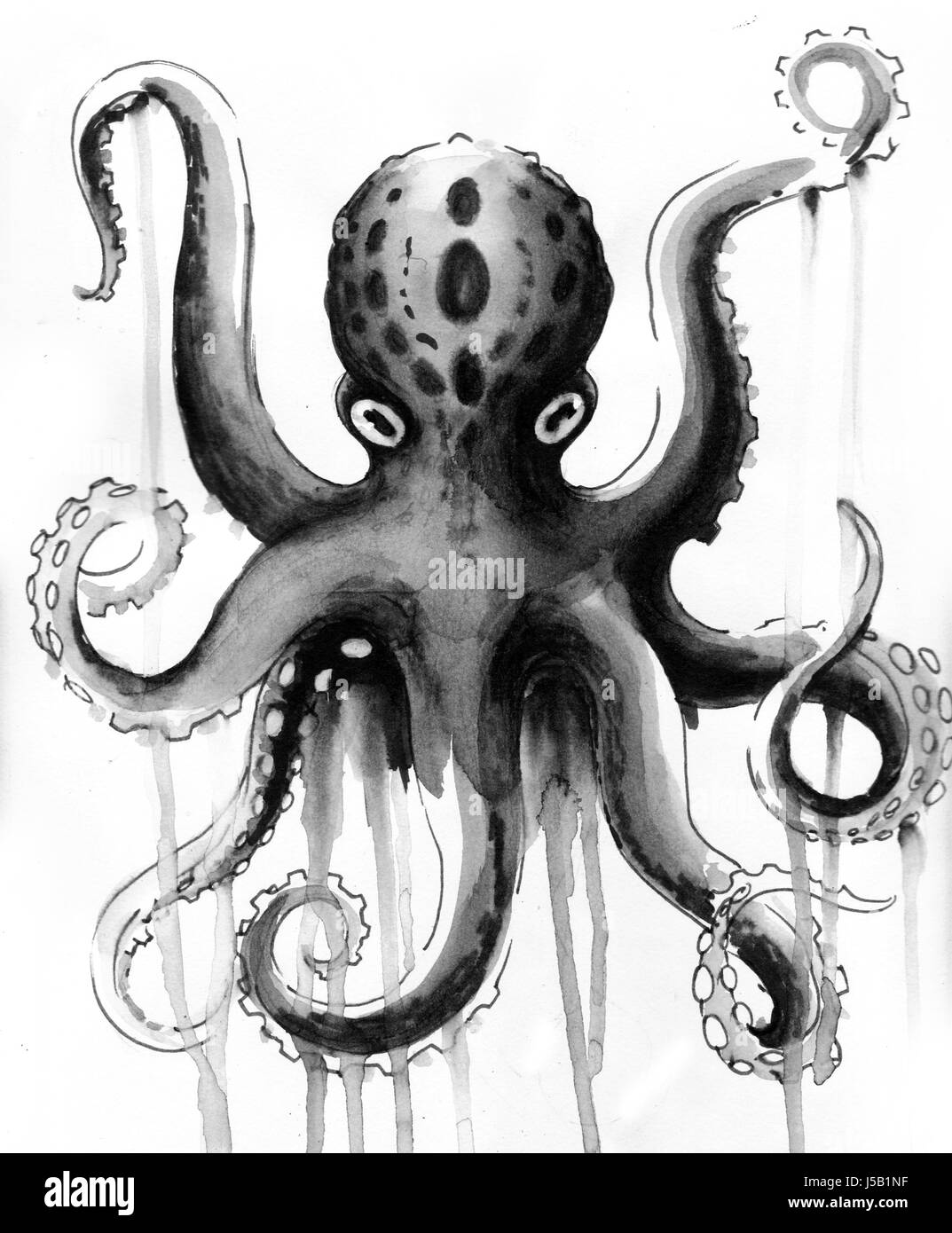 Ink Octopus Stock Photo Alamy ink-octopus-stock-photo-alamy