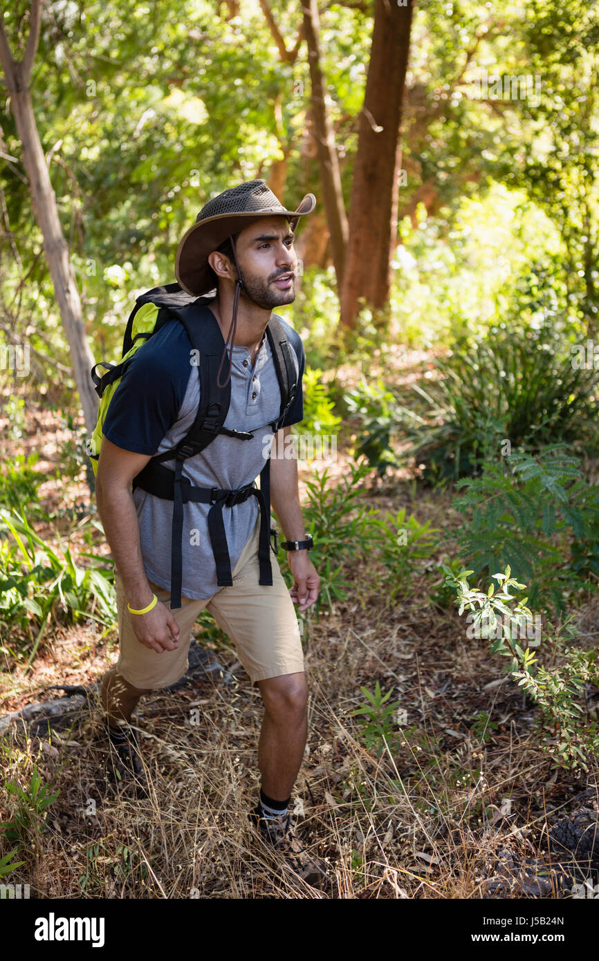 Man with backpack walking in the forest on a sunny day Stock Photo - Alamy