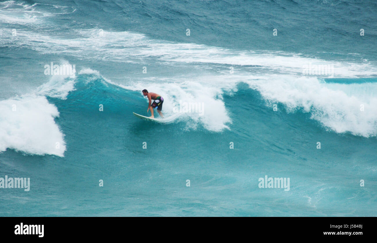 riding the waves Stock Photo Alamy