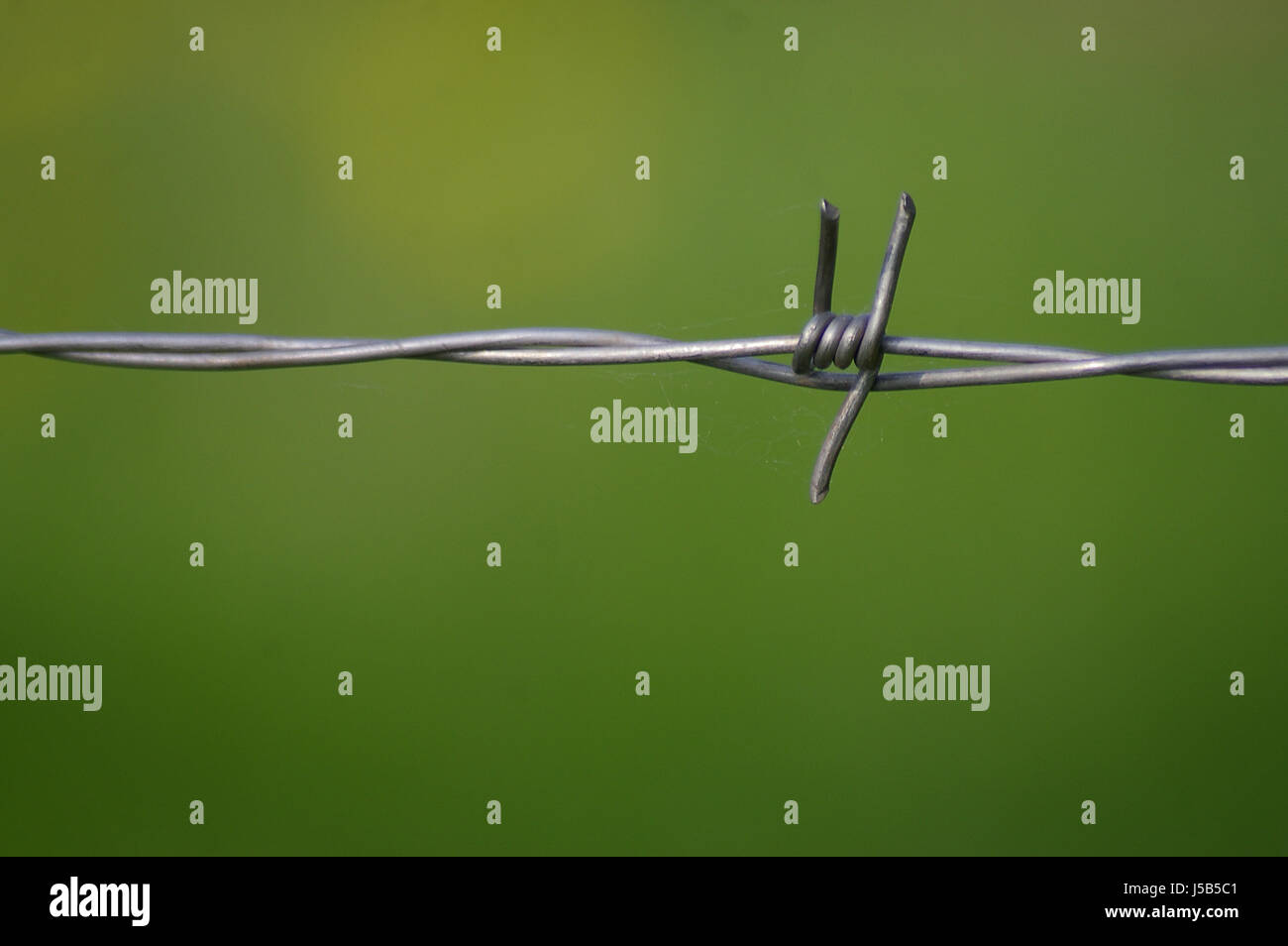 green fence sting wire barbed wire limitation ban admission illegal