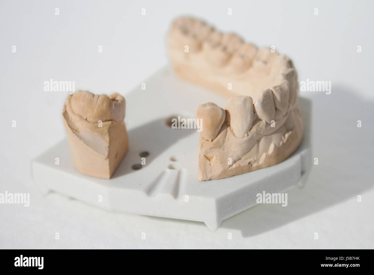 teeth bit dentist tooth crown copy ceramics drill plaster stone