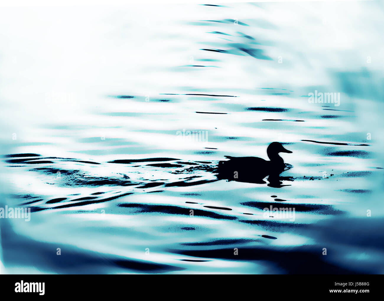 waves wet duck cool waterfowls waterfowl drawing photo picture image copy Stock Photo