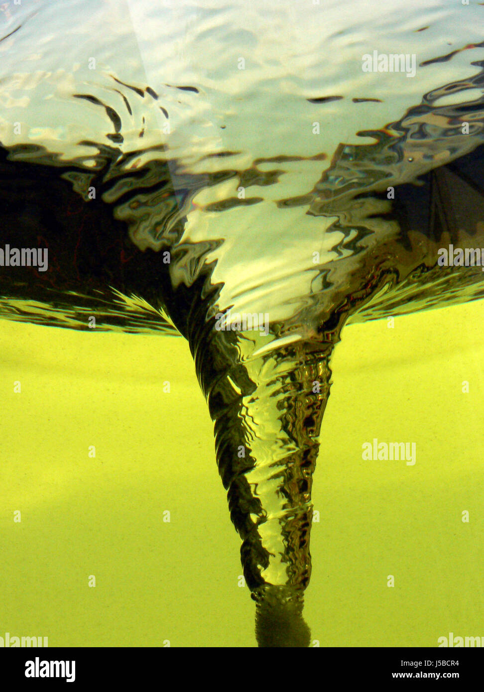 storm in a teacup Stock Photo Alamy