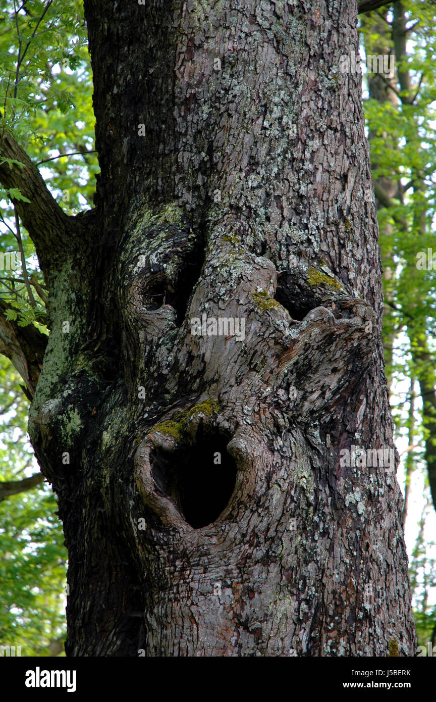 Outcry market hi-res stock photography and images - Alamy