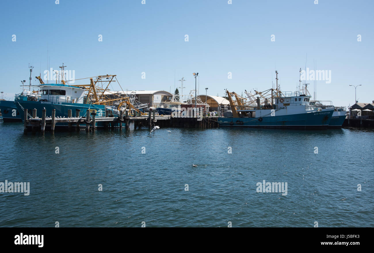 Commercial fishing boats with jetty in the Fishing Boat Harbour in