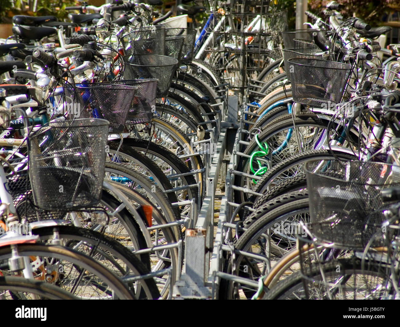bike stand on wheels
