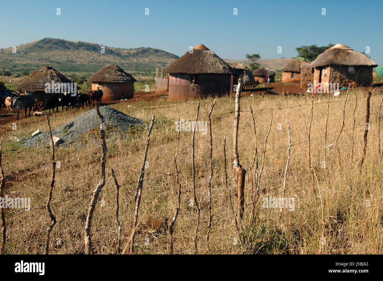blue goat door sight south africa plain thatched roof globe