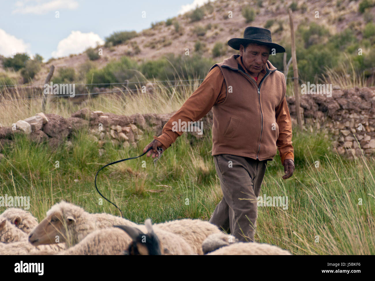 Argentinian shepperd (gaucho) with his sheeps. Yavi, Jujuy, Argentina Stock Photo