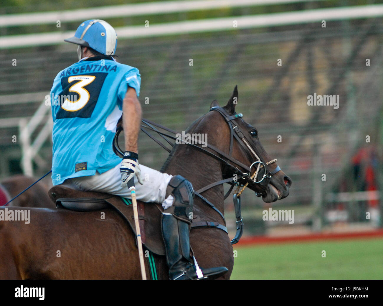 Argentina Polo Player Stock Photo