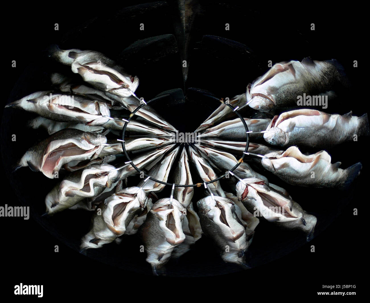 Fishy hi-res stock photography and images - Alamy