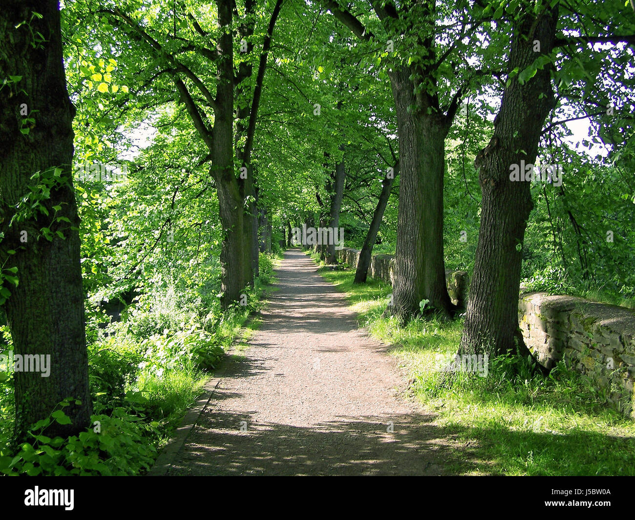 an executive decision Stock Photo Alamy