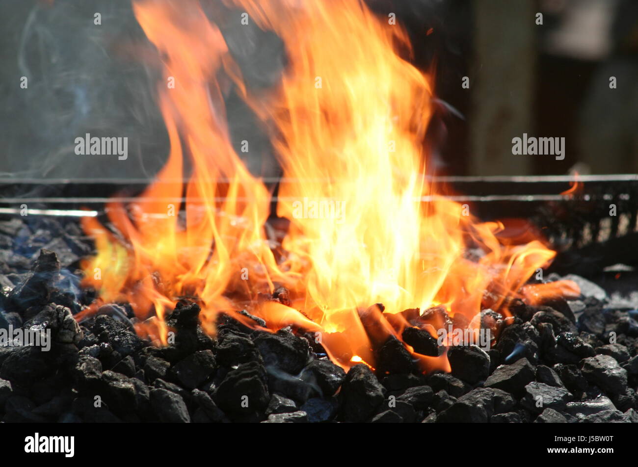 Gelbglhend hires stock photography and images Alamy