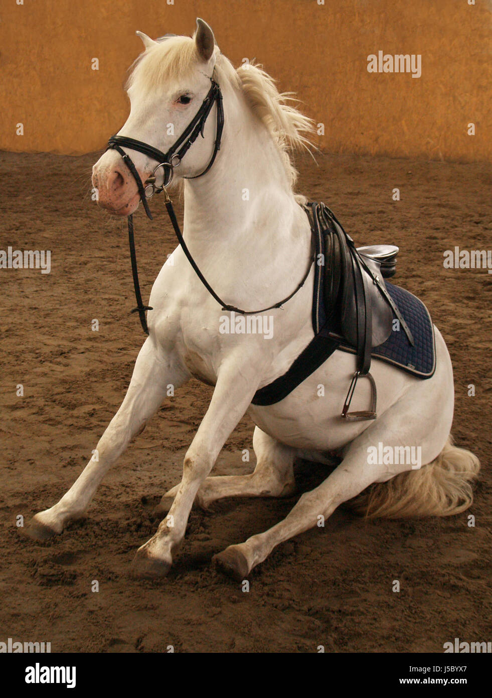 Finally A Break Stock Photo Alamy