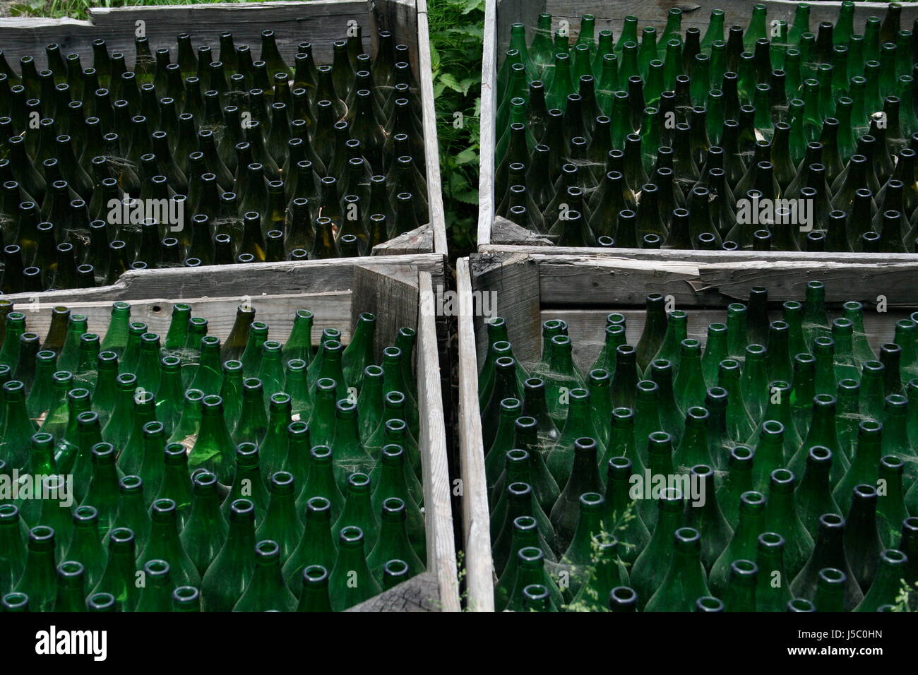 bottles quartet Stock Photo