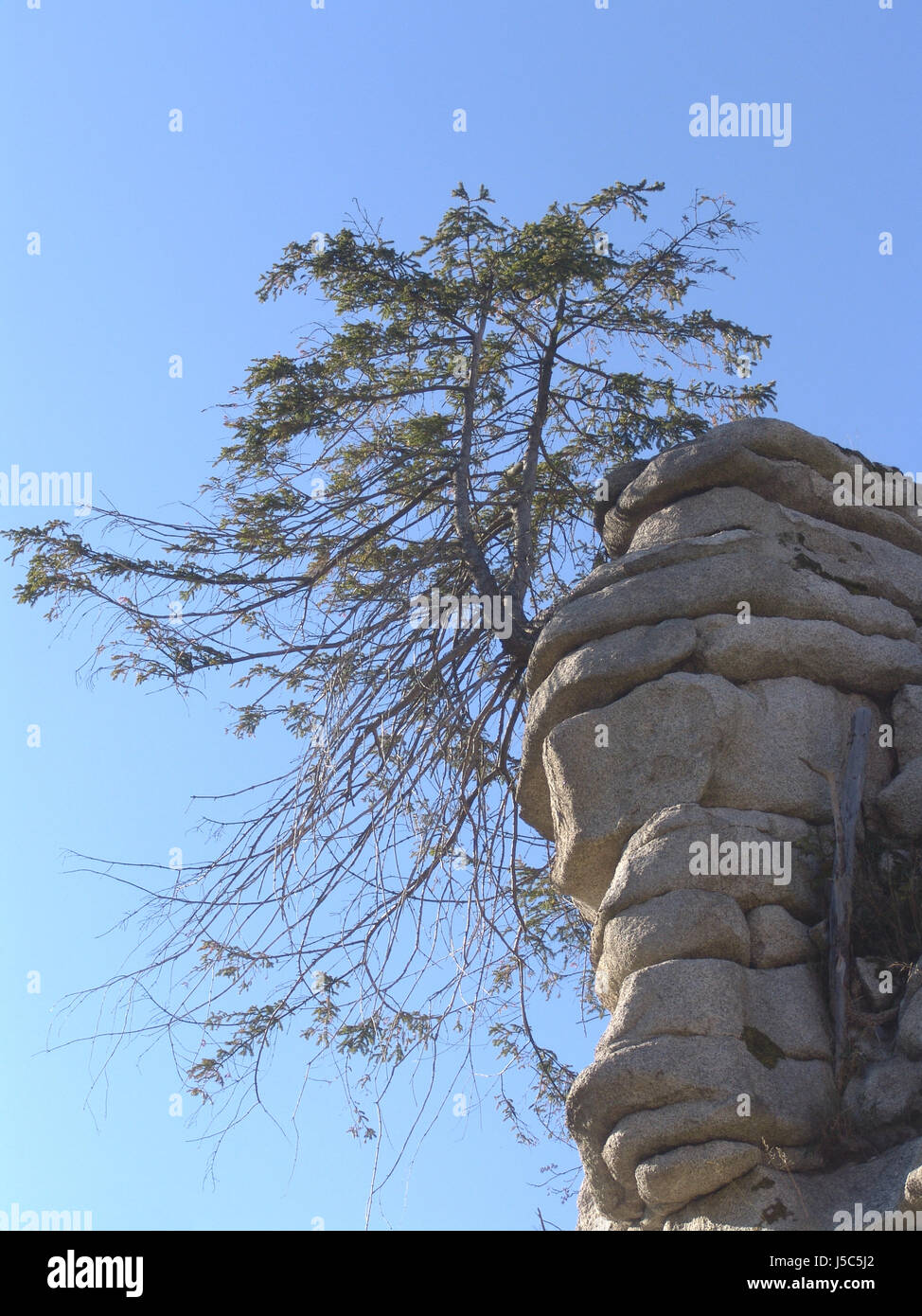 rock highlands granite boulder granitfelsen steinwald felswand kletterwand Stock Photo