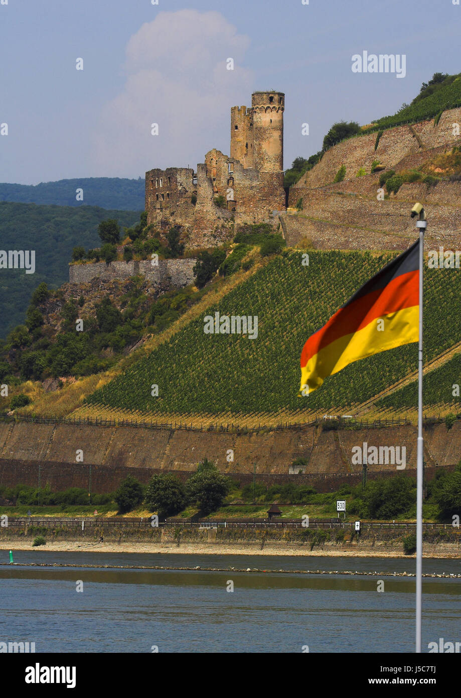 rhine vineyard hesse ruins Germany flag flag ruin destruction knight patriotism Stock Photo