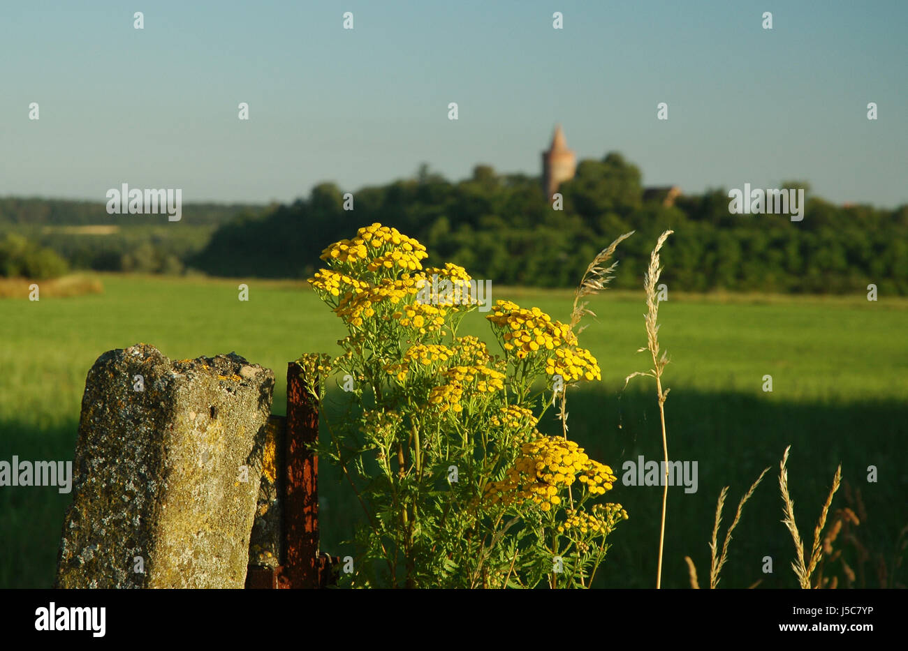 Château stargard hires stock photography and images Alamy