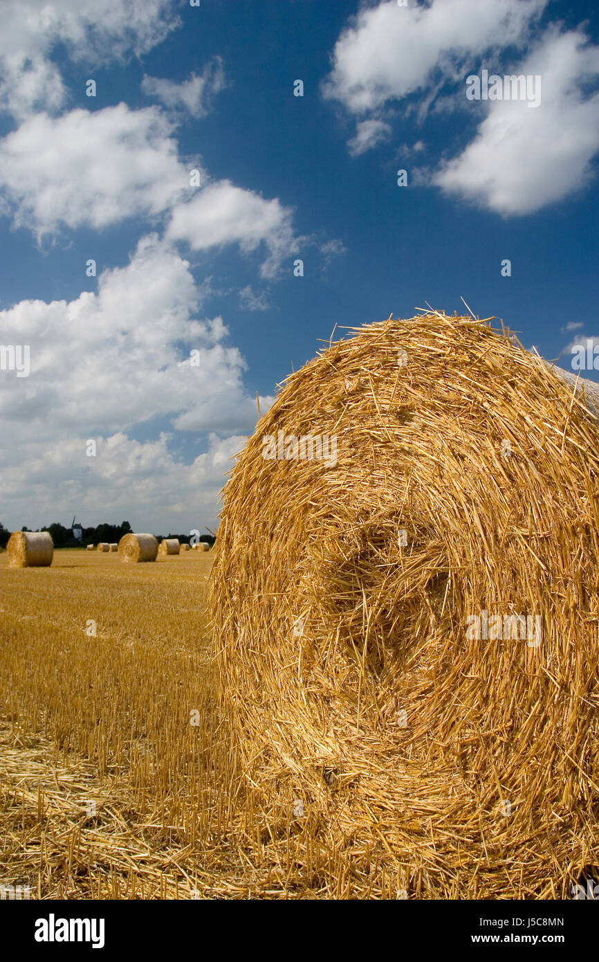 straw bales in sunlight 4 Stock Photo Alamy