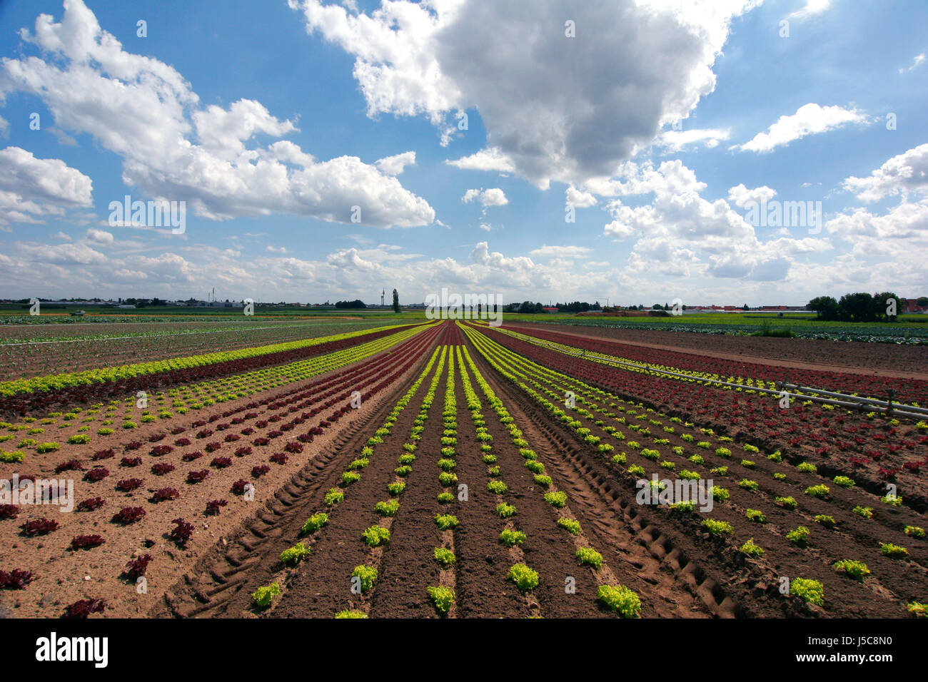 food aliment green agriculture farming field coloured fields ...