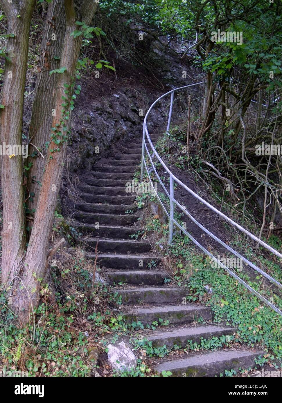 stairs,stone,steep,railing,steinstufen,felsentreppe,kalkberg,steintreppe Stock Photo