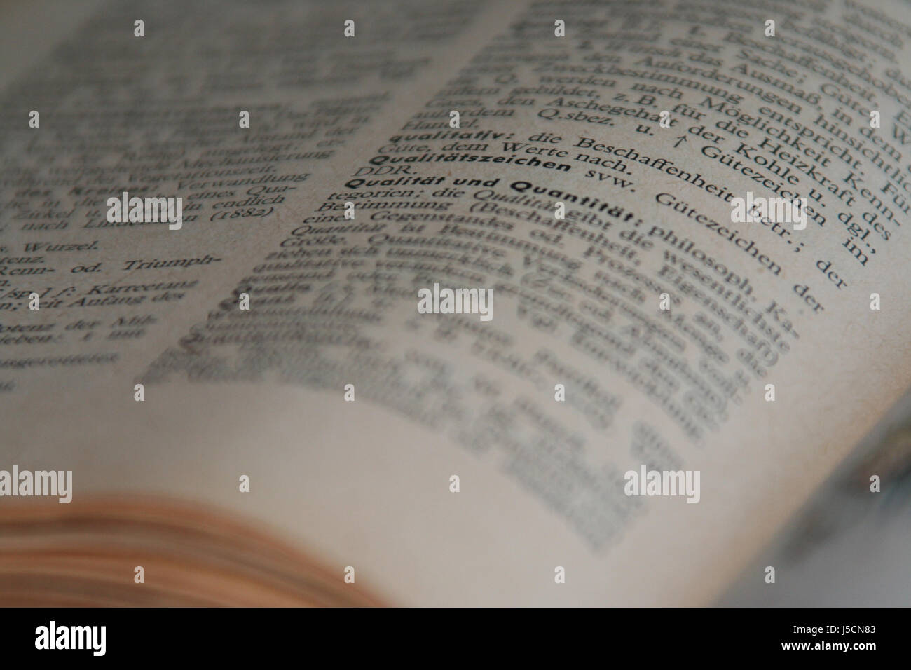 lexical german dictionary pitched quality book pages sides jellyfish
