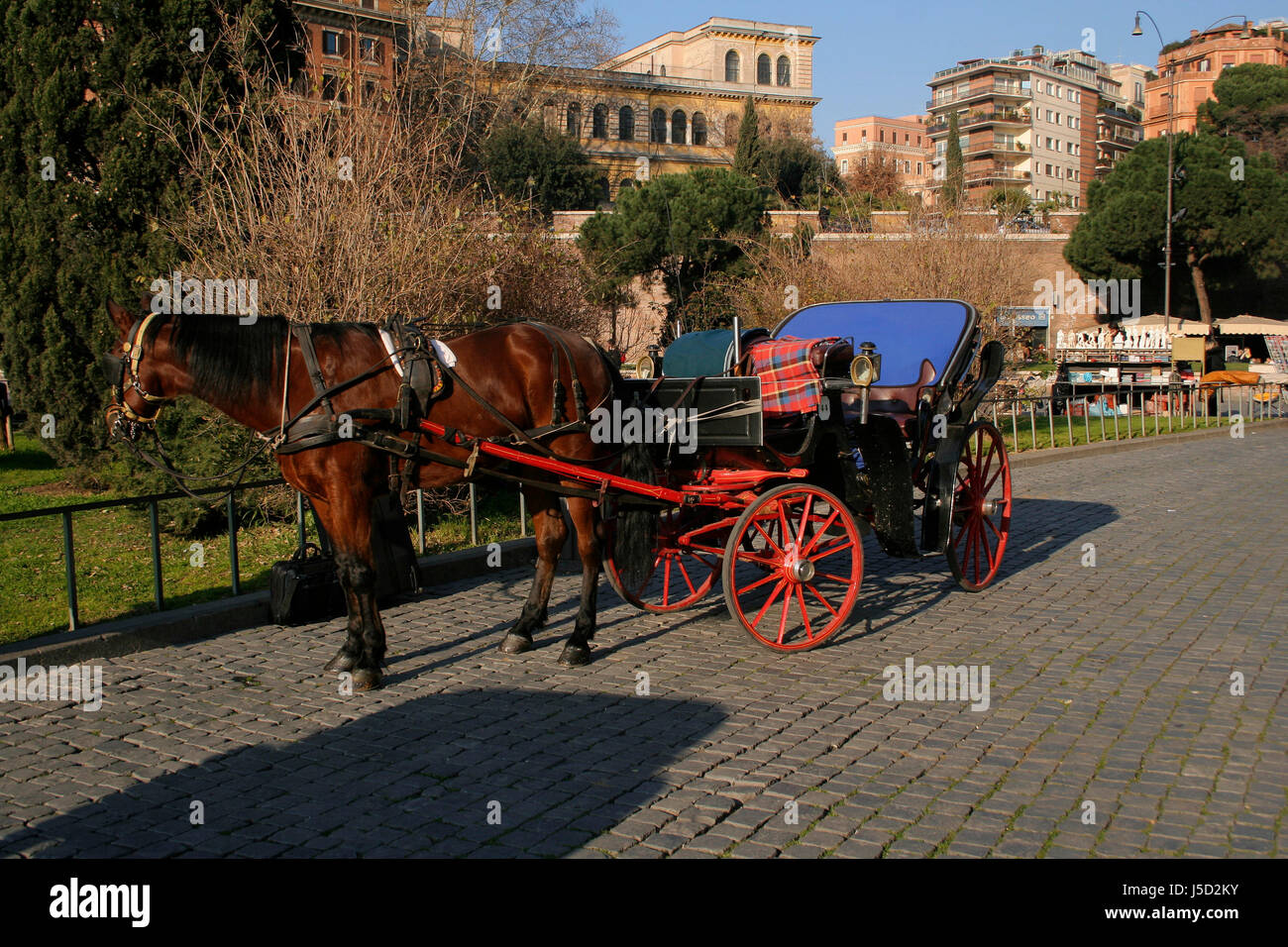 horse tourism horses Rome roma square coach horsedrawn carriage italy
