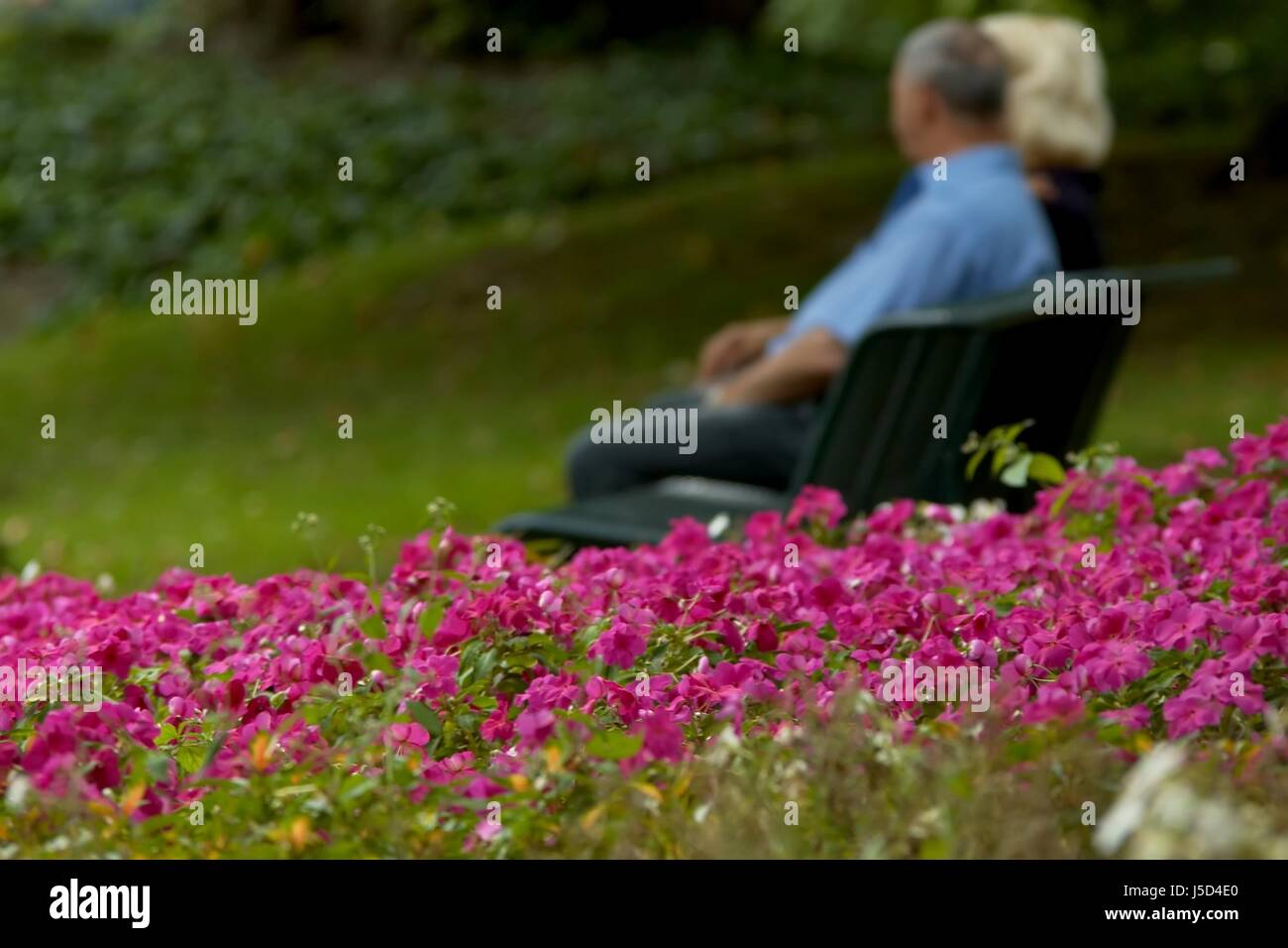 recreation in the park Stock Photo Alamy