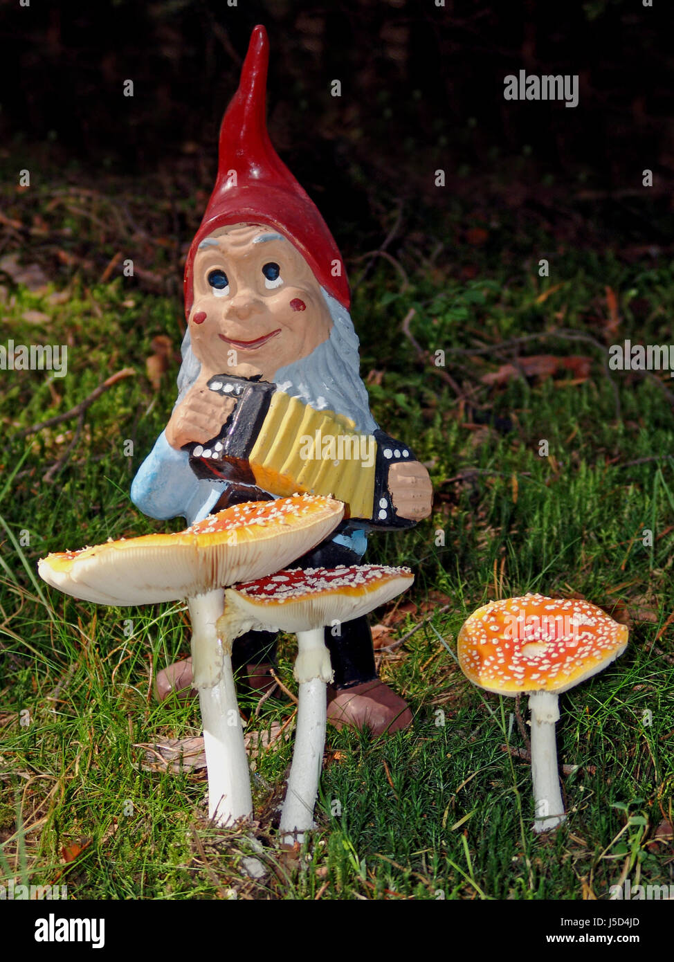 Pilzzwerg hires stock photography and images Alamy