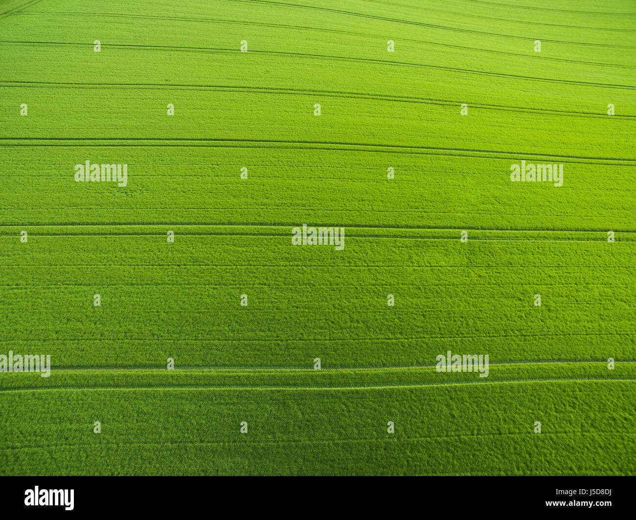 Farmland from above - aerial image of a lush green filed Stock Photo ...