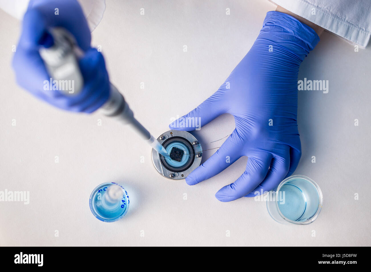 Hand Doing Lab Hands of a researcher carrying out scientific research in a lab Stock ...