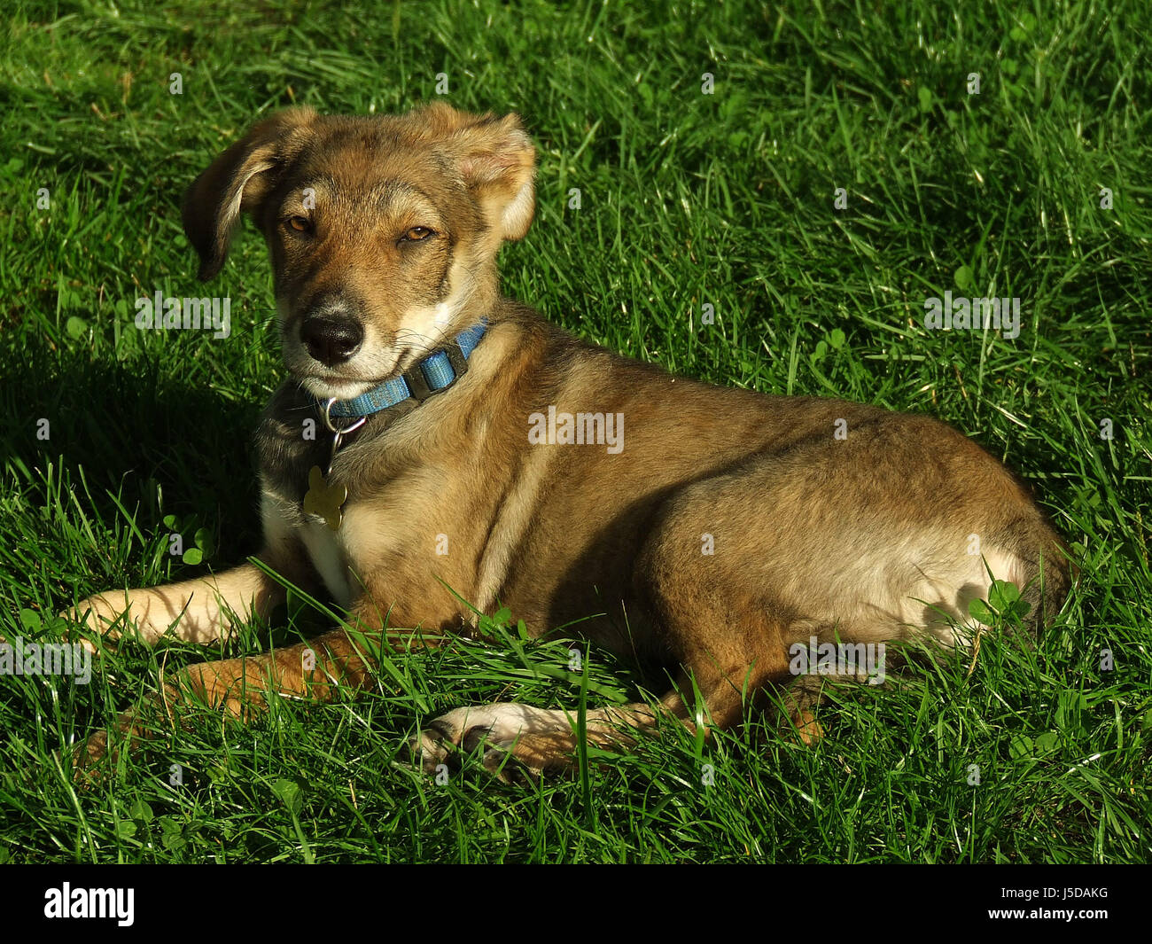 Giovanni name hi-res stock photography and images - Alamy