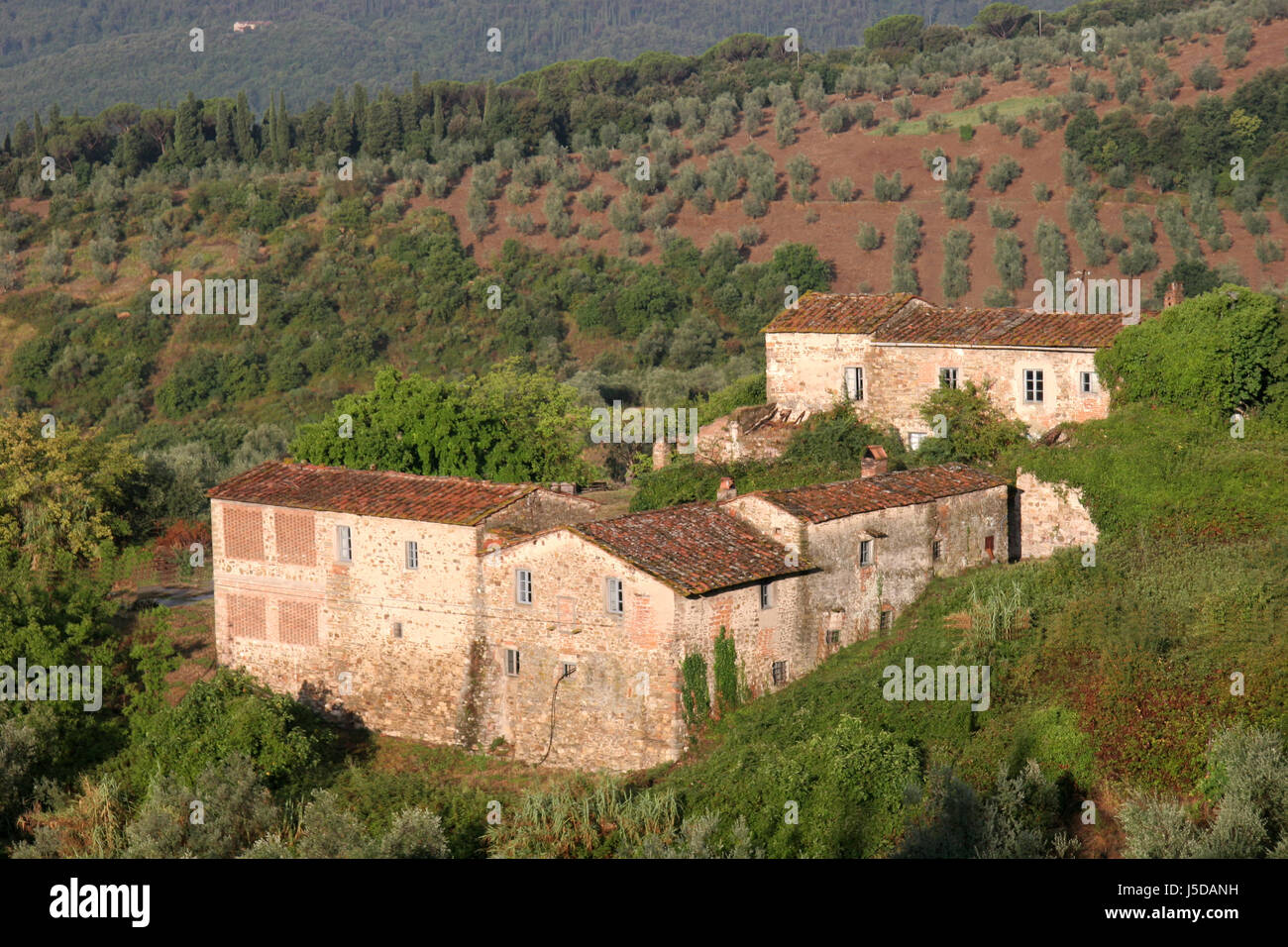 tuscan farm by Stock Photo - Alamy