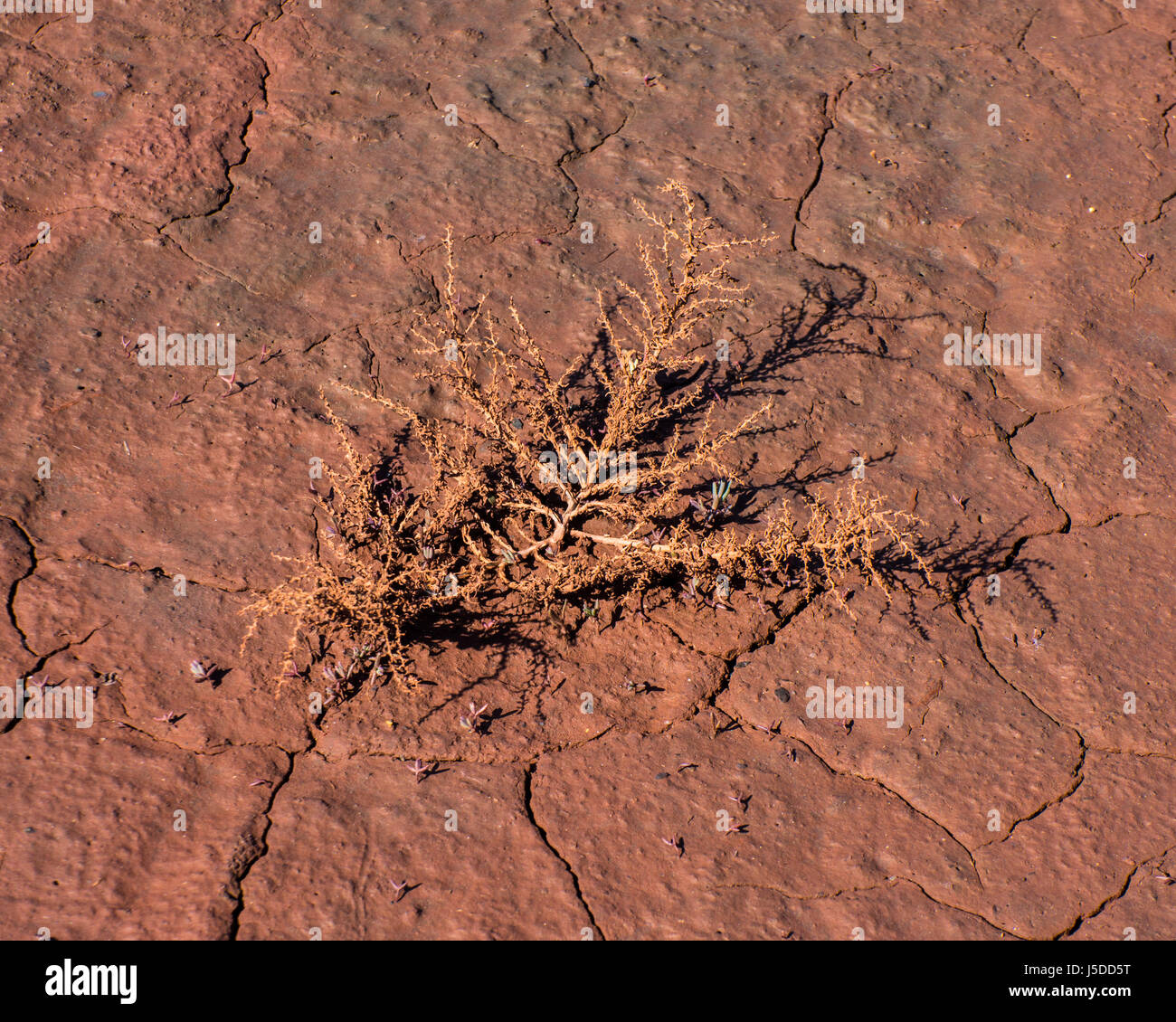 Red soil iron oxide hi-res stock photography and images - Alamy