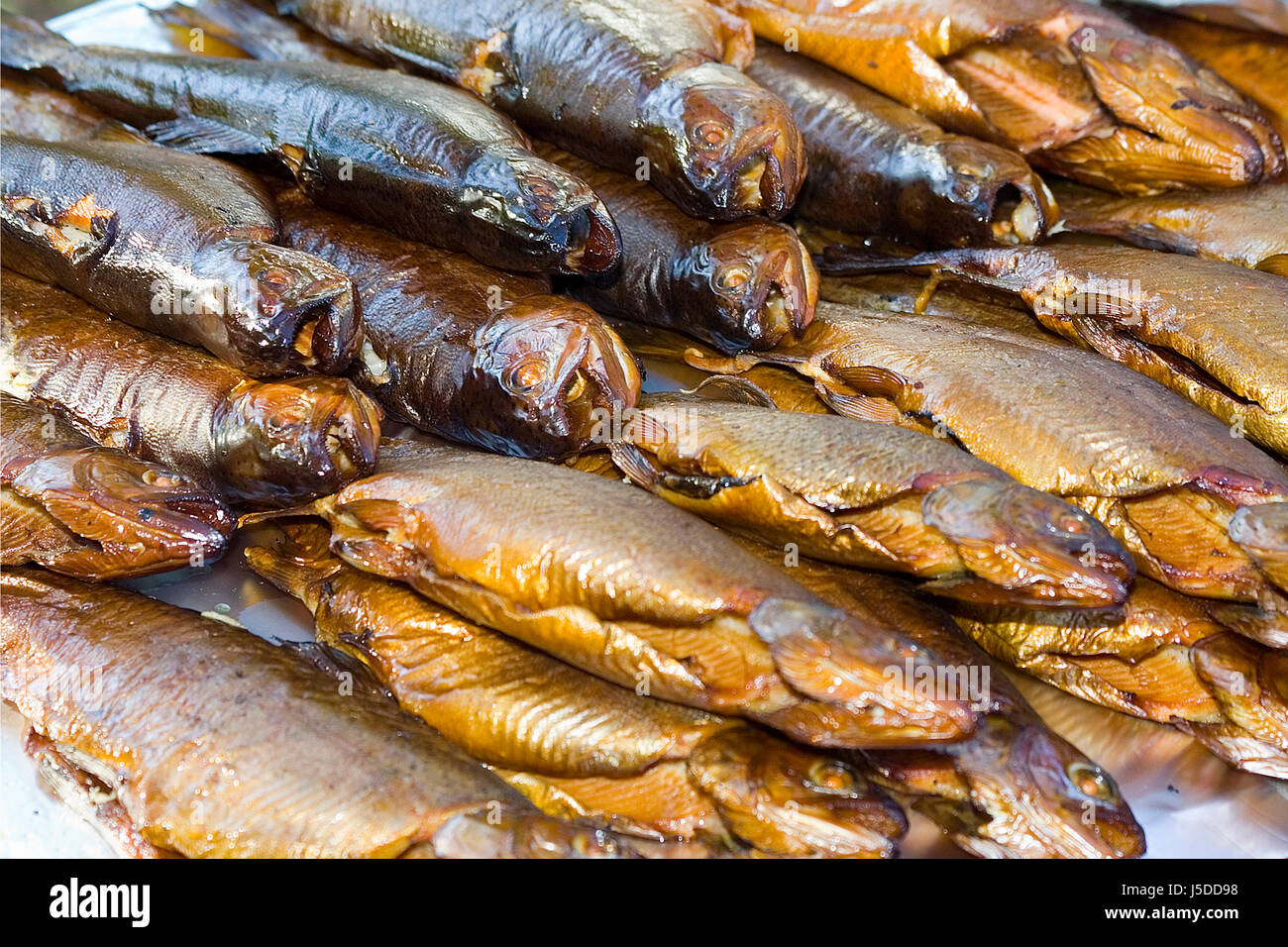 smoke smoking smokes fume fish angle dainty trout flour dry dried up