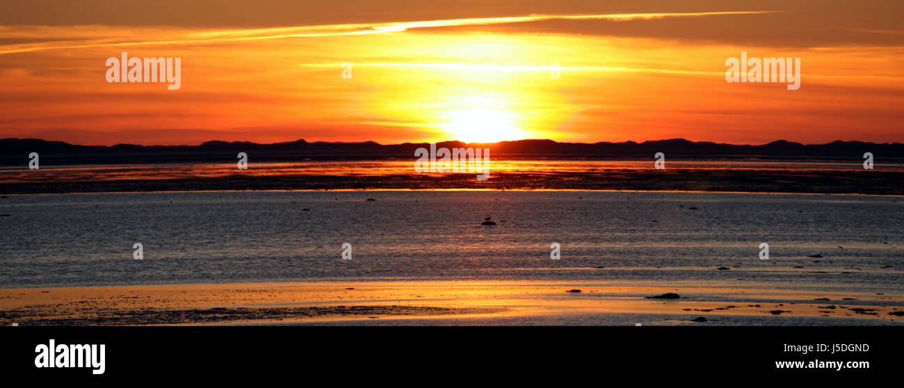 cold sunset romantic water north sea salt water sea ocean evening watt ...