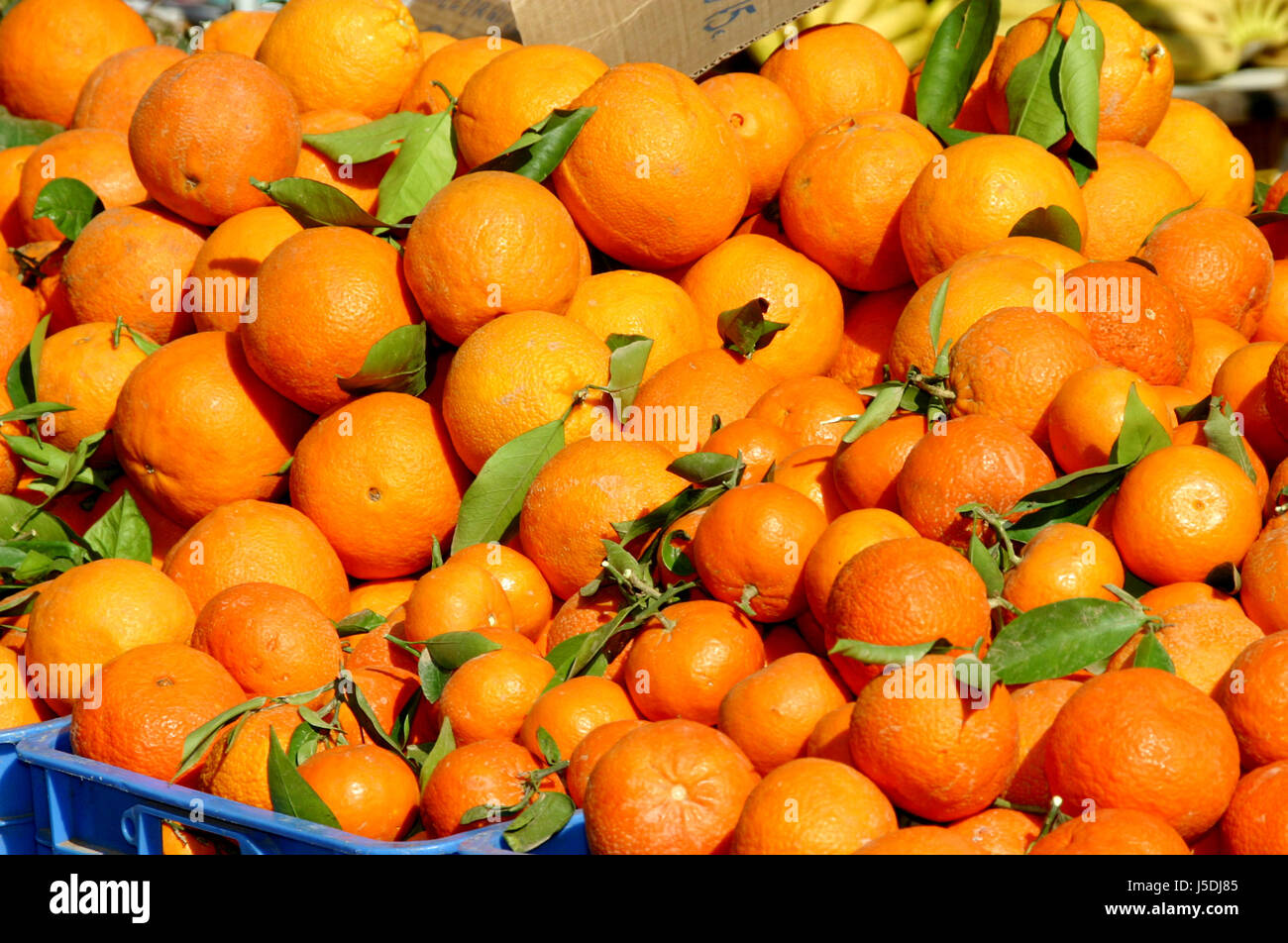 private mallorca oranges weekly market marketplace flea market harvest fresh Stock Photo