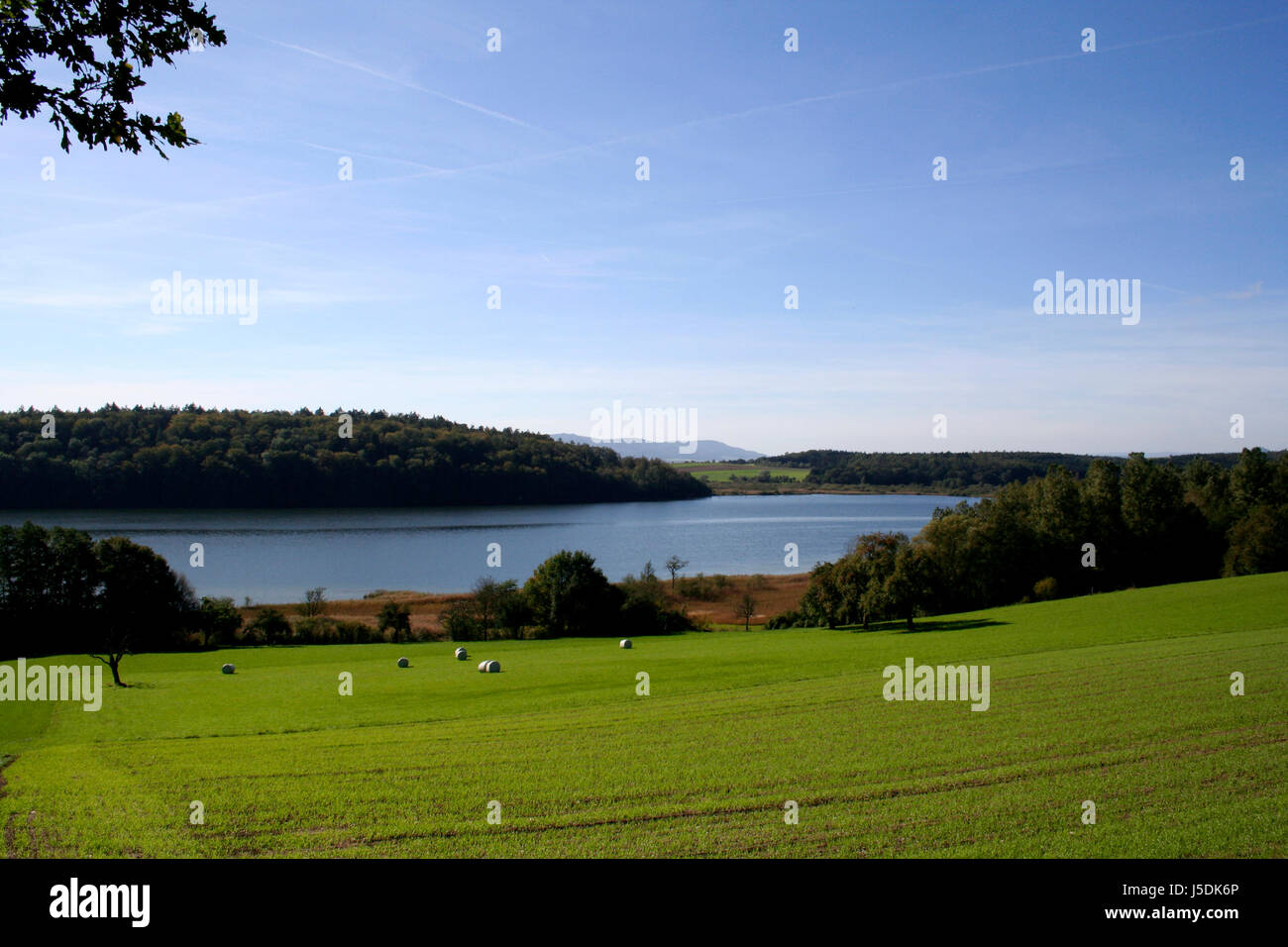 blue tree trees mountains green room brown brownish brunette field alps hike go Stock Photo