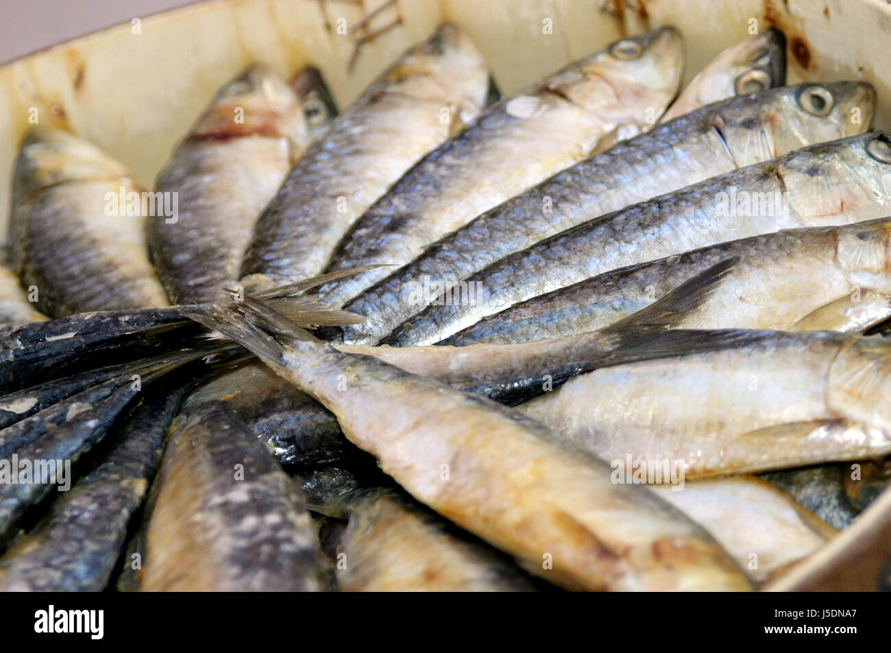 fish,mallorca,hovel,fisherman,herring,salt water,sea,ocean,water,malle Stock Photo