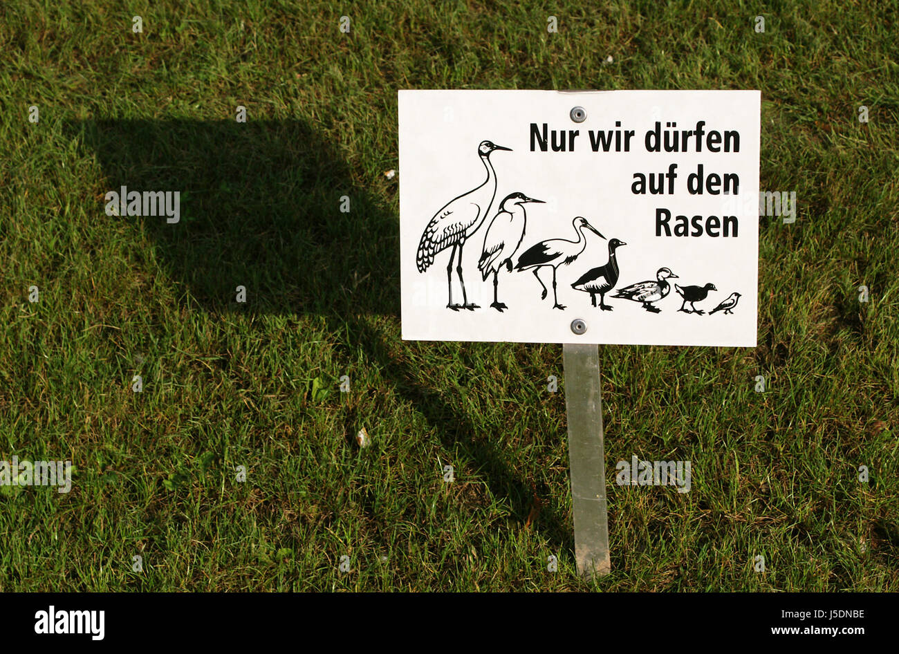 sign signal bird birds hint ban prohibition sign authority permission ...