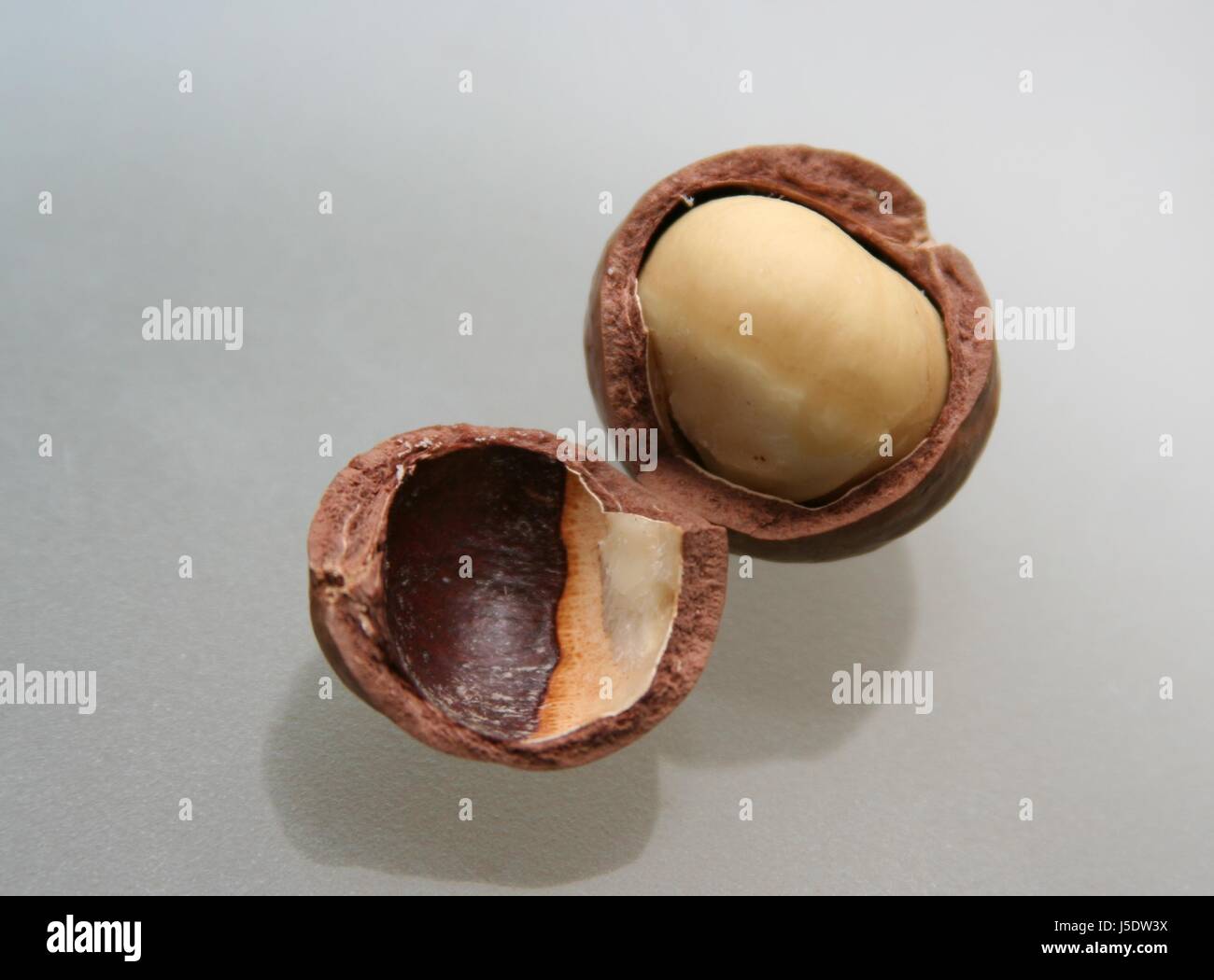 australia iron california south africa nuts bowl nut queen edible