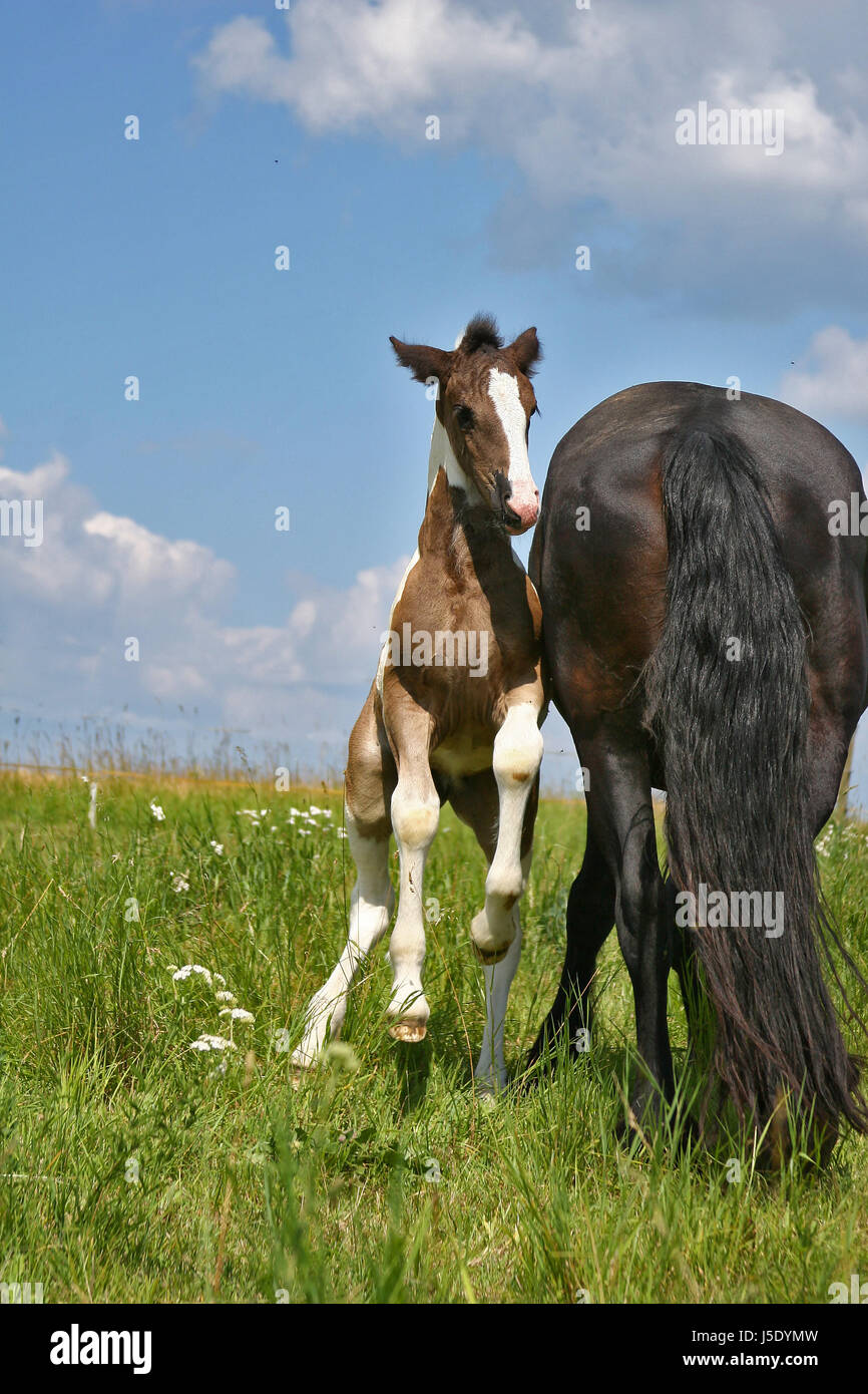 game Stock Photo