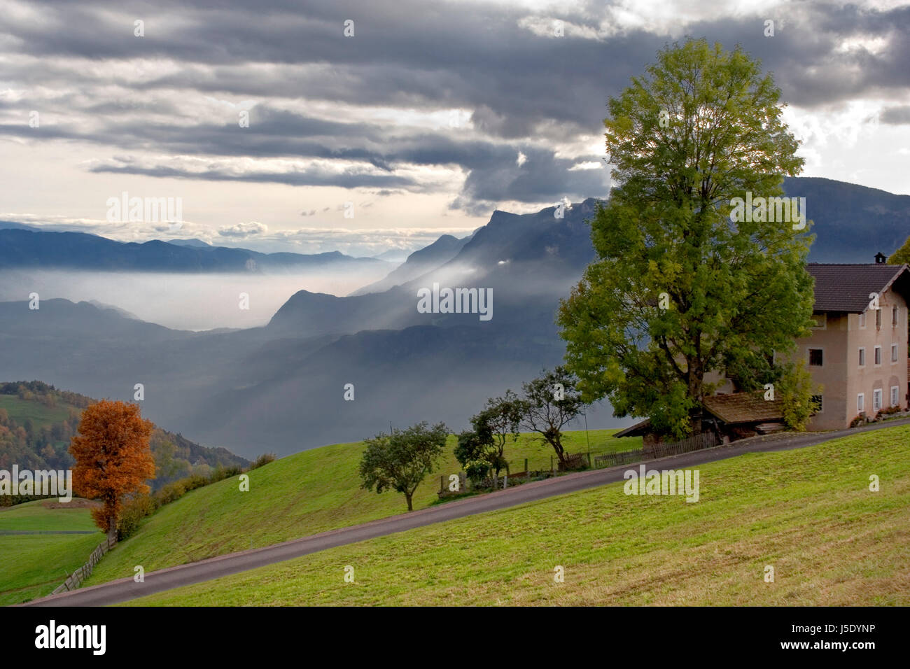 farm Stock Photo