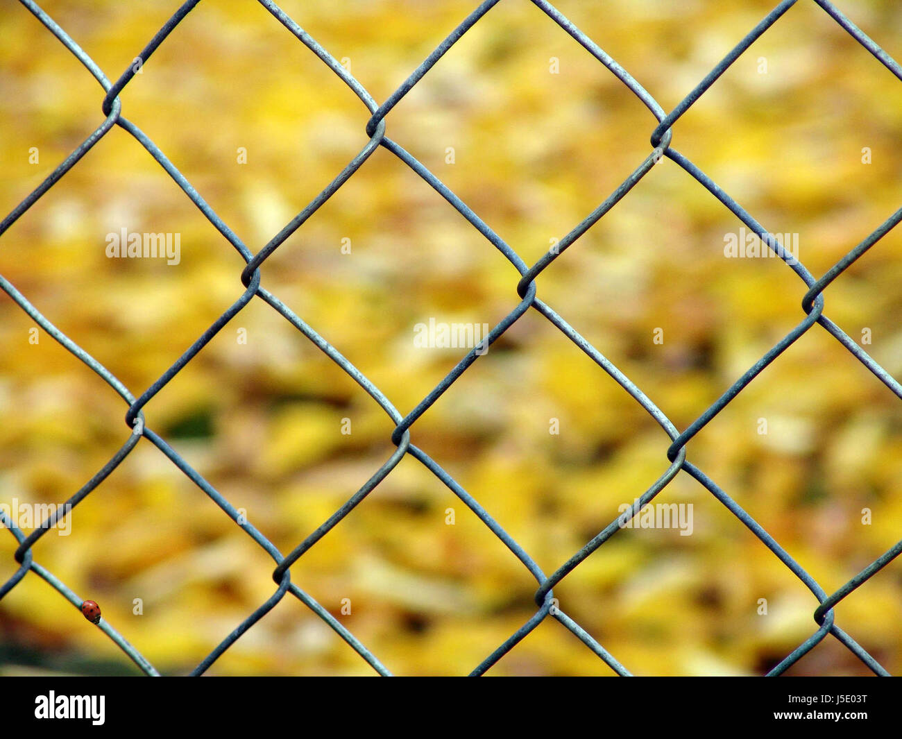 Wire locks hi-res stock photography and images - Alamy